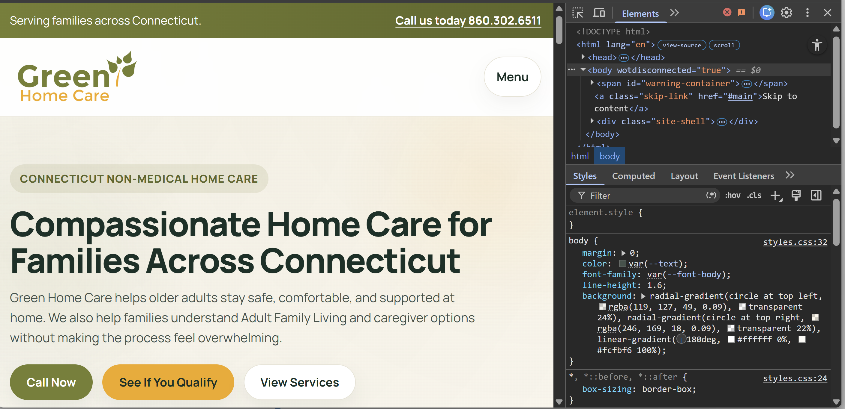 Green Home Care development and coding preview